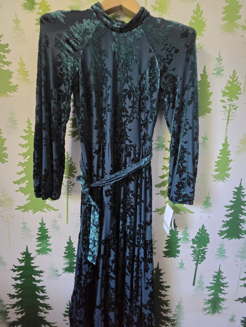 Maison Tara Flocked Velvet Jacquard Maxi Dress